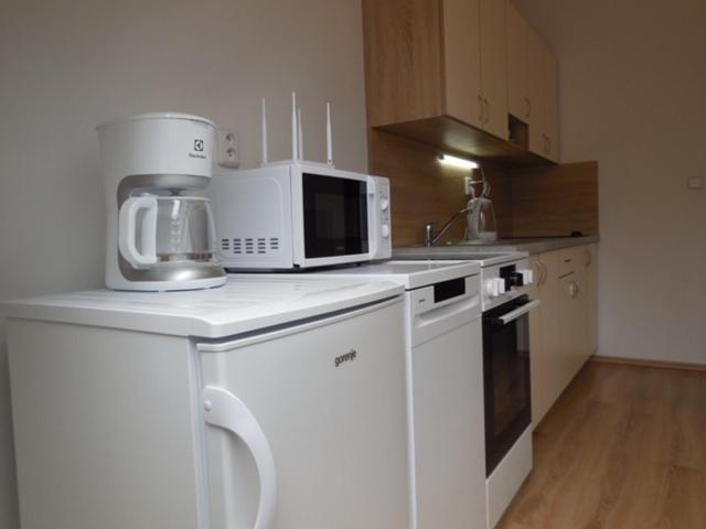 Apartman Kamenice Kamenice nad Lipou Exterior foto